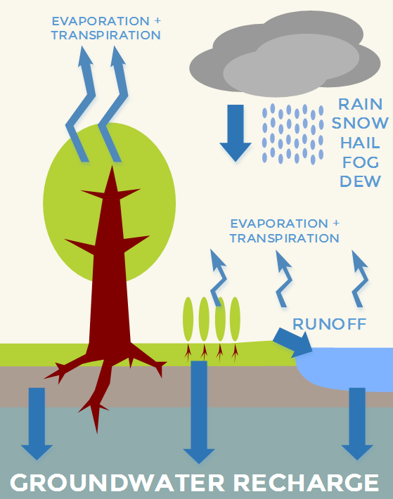 Natural Recharge 10 things to know about groundwater: #2 – UPGro