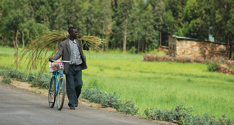 On the road to resilience in&nbsp;Ethiopia