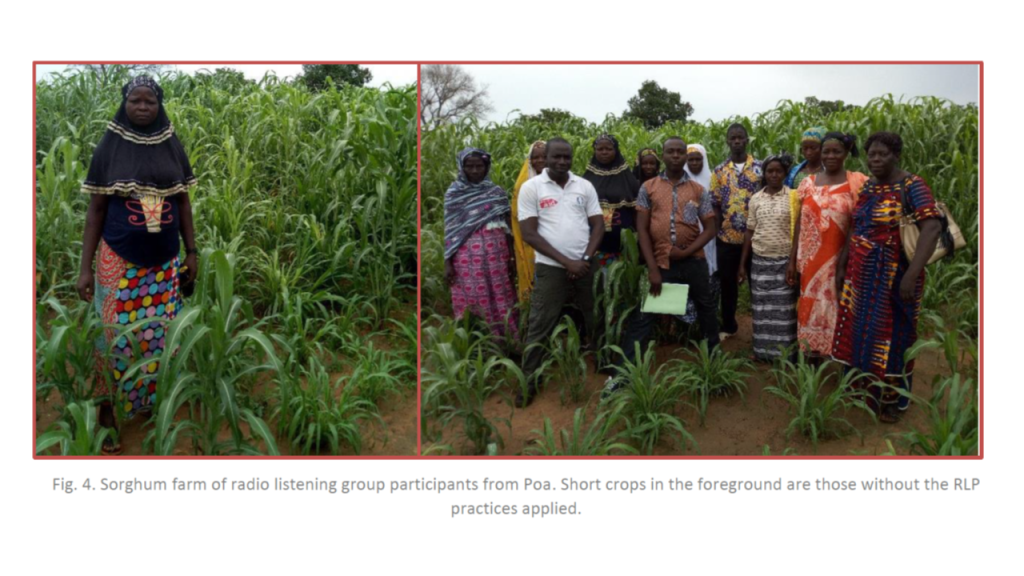 Lord of the Rain: how radio can help African farmers combat&nbsp;drought