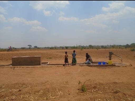 Rural water supply: a political economy&nbsp;analysis